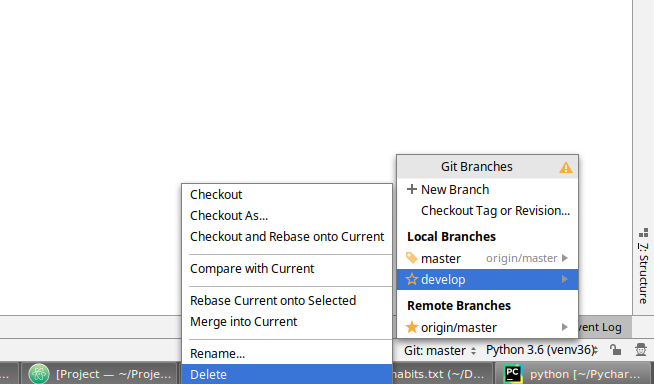 pycharm_delete_git_branch